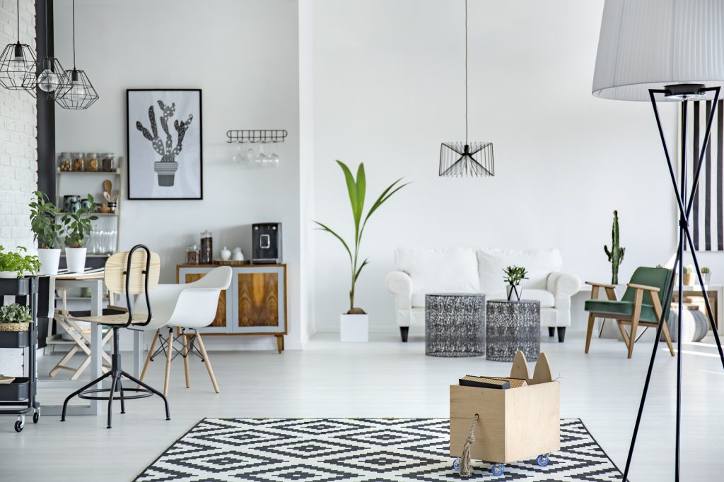 White Living Room Interior