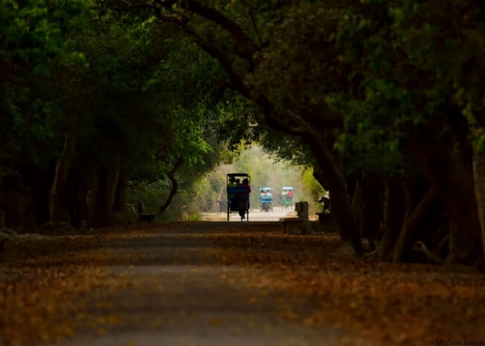 road trips from delhi
