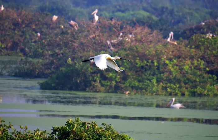 road trips from chennai