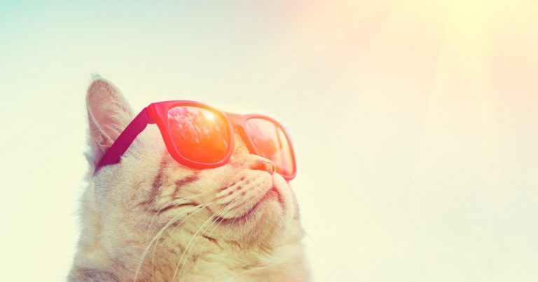 AC or Air Cooler? Making the Right Cooling Choice for Summer 2026