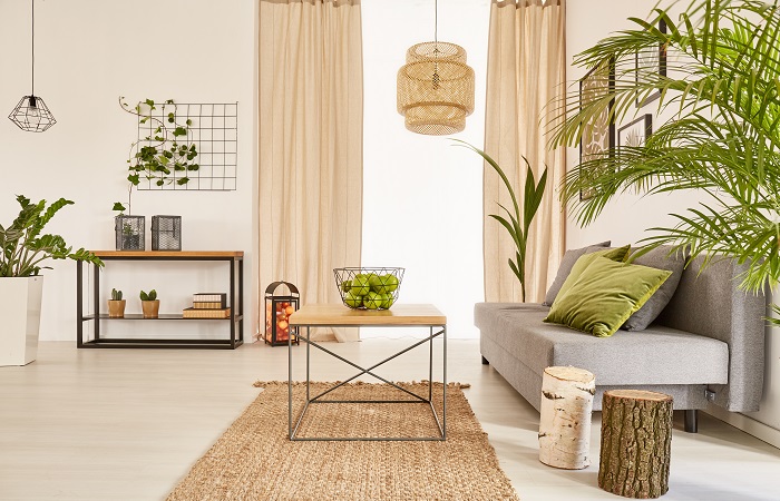 Budget-Friendly Home Decor Stylish Savings for Every Space