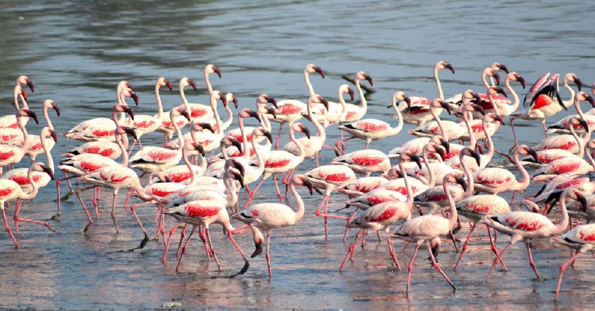 facts about Mumbai