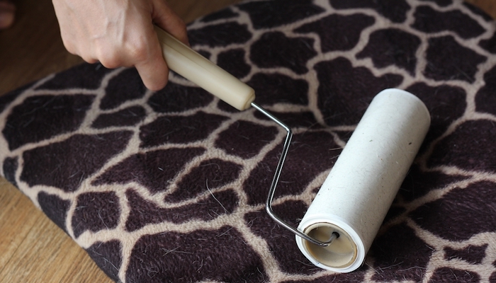 how to remove pet hair from furniture