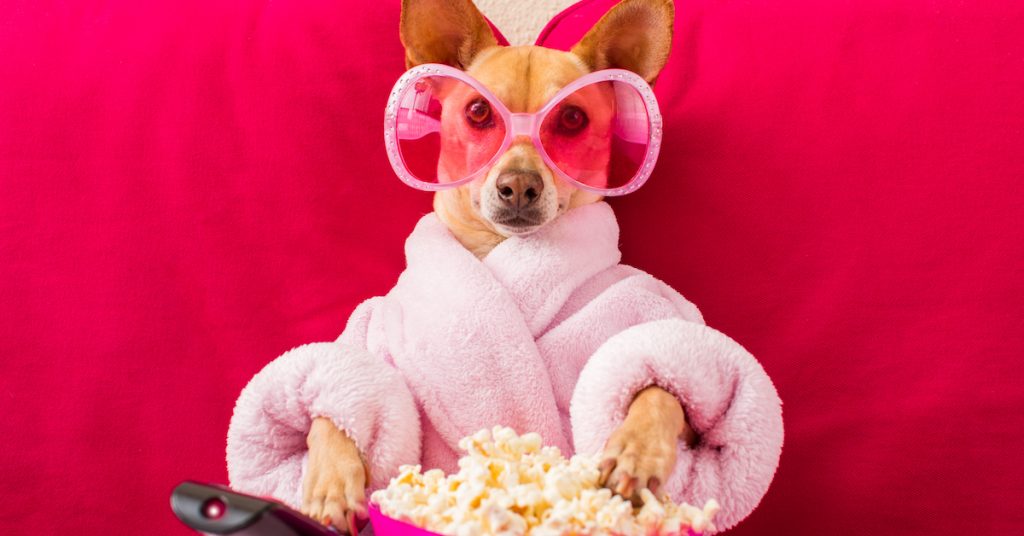 how to remove pet hair from furniture