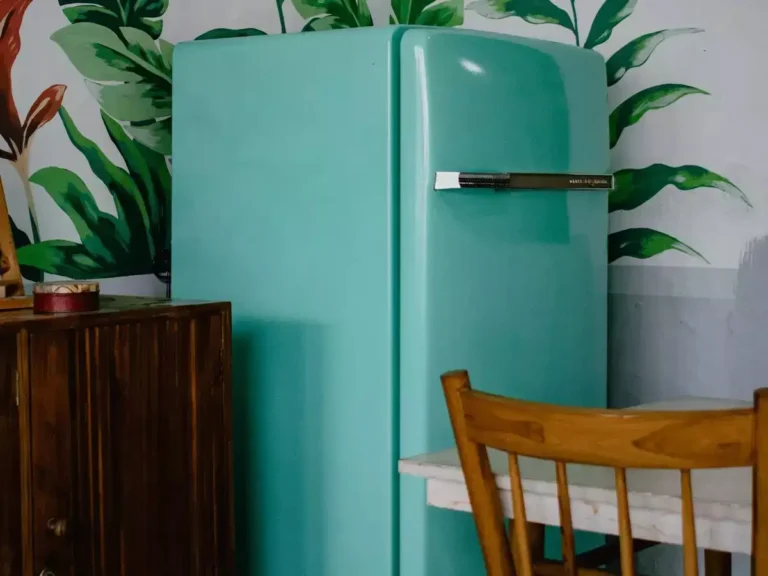 Why Rent A Fridge? 5 Benefits Of Renting You Should Know!