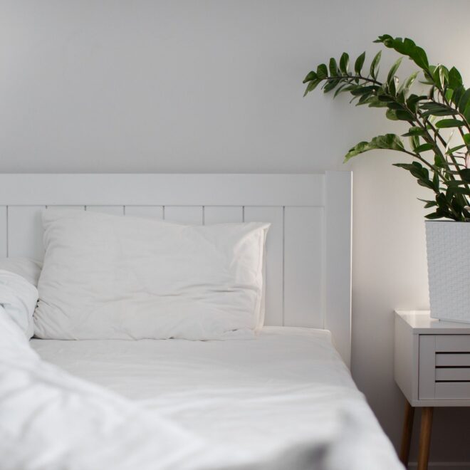 Latex Mattress vs Spring Mattress: Know Which One To Choose