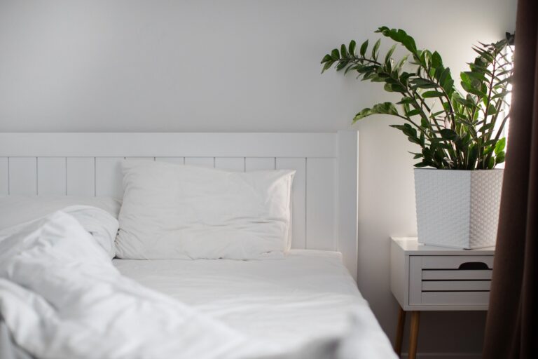 Latex Mattress vs Spring Mattress: Know Which One To Choose