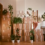 How To Move: Check Out This Simple Checklist For Relocation
